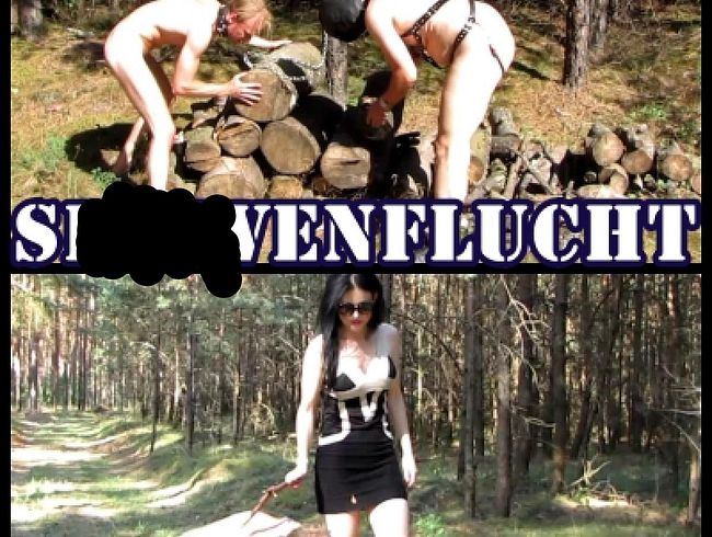 DominaBlackdiamoond Porno Video: skla*enflucht